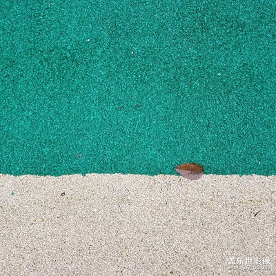 2019年12月隨手拍，s9+直出