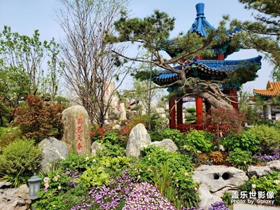 【2019最美瞬間】 世園花海