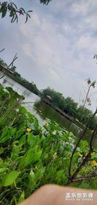 美麗張家港  夜晚了 你還好嘛