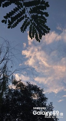 三星s9拍下美麗這這一刻