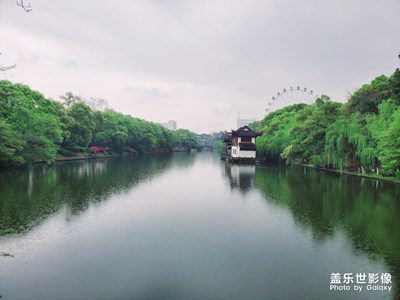 【2019最美瞬間】游·園景，風光無限美