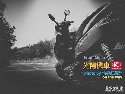 跑一場醉美半馬 看一城鵲華秋色