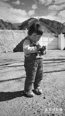 ＞   尋  貓  記 ??哈哈哈