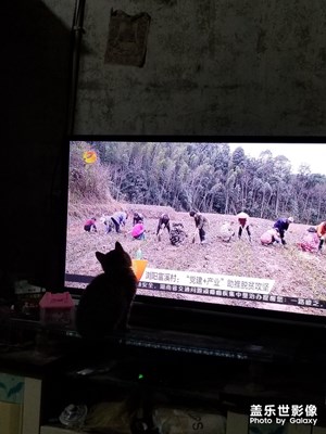 看的比我還認真