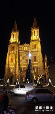 【雙旦驚喜】+教堂和圣誕樹更配