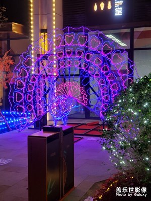 【圣誕節(jié)】+冬意漸濃