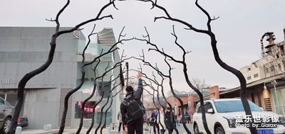 #留住最美2019#798拍攝活動
揮揮手2019再見！