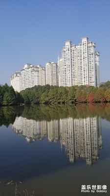 【2019最美瞬間】+陽(yáng)光午后