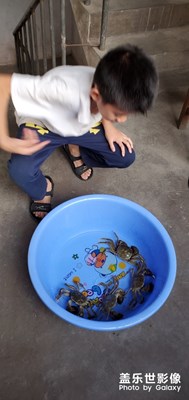 入戲太深