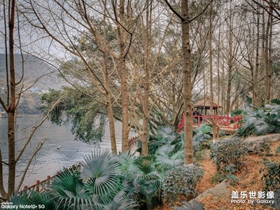 元旦節(jié)快樂(lè)！