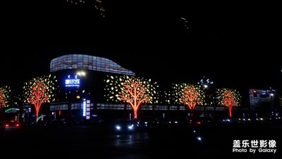 【雙旦驚喜】+2020年的wanday