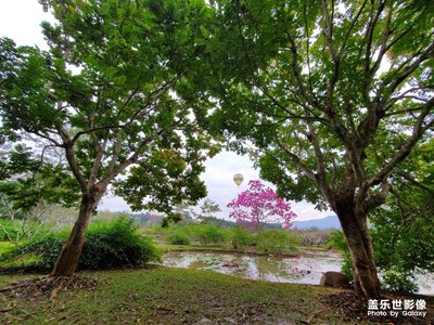 西雙版納熱帶植物園