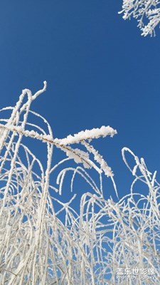 【你好2020】+霧凇