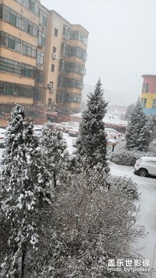 【你好2020】+ 一場雪引發(fā)對2019的思念