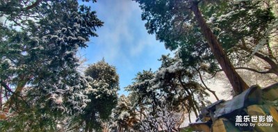 2020年北京第1場雪。