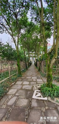 【大街小巷】＋學(xué)校游