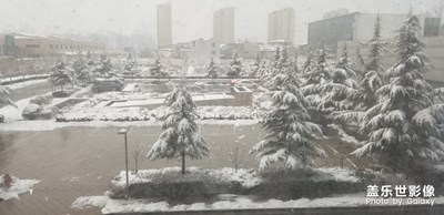 2020年第一場雪！