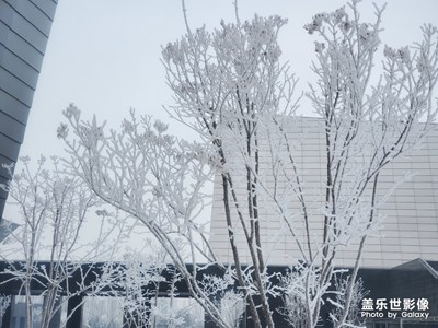 【大街小巷】+銀裝素裹