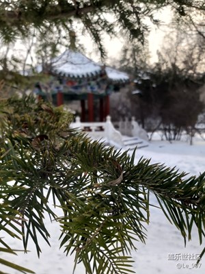 端雪豐年
