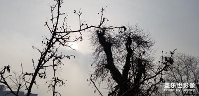 蒼涼|別樣之美！