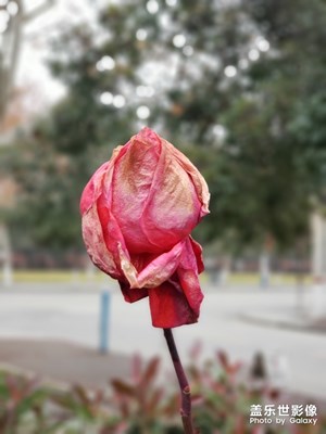 過去，現在和未來