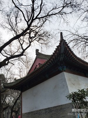 清晨，薄霧中的小雁塔，寧靜，古樸……