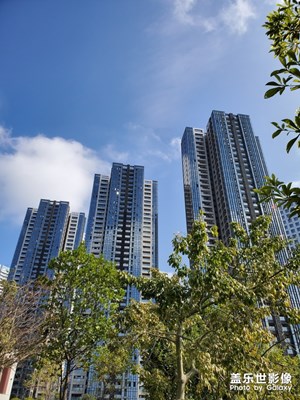 【鼠年吉祥】+鵬城過(guò)鼠年