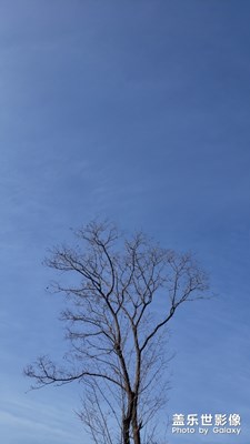 過年，回村兒