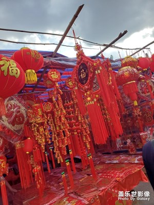 惠州市龍豐花市