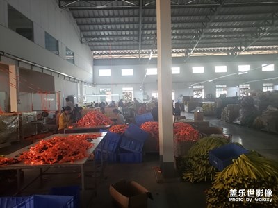 柬埔寨廠