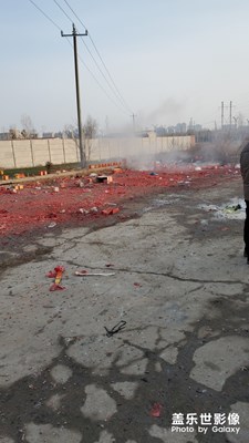 【鼠年吉祥】+我的春節(jié)