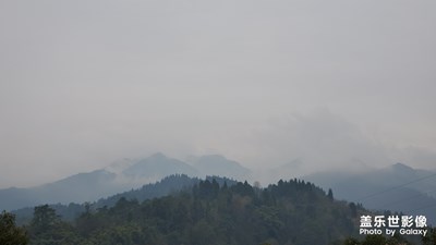 【鼠年吉祥】歡度佳節(jié)