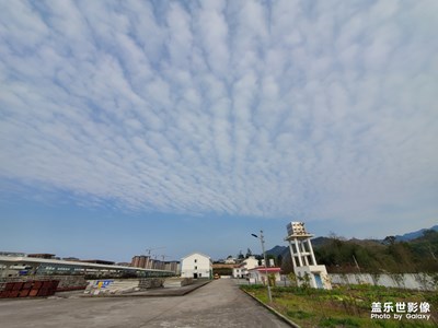 陽光