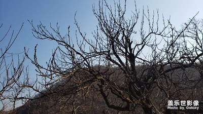 瞎拍之回村第二彈