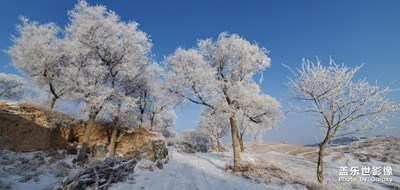 三星s10拍照。