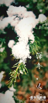 深冬，遲雪