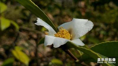 封路，去山上呆著
