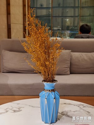 相機還不錯！