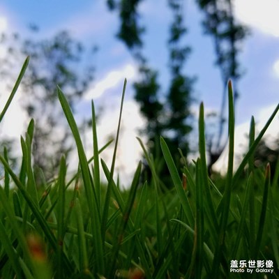 村里待不住了