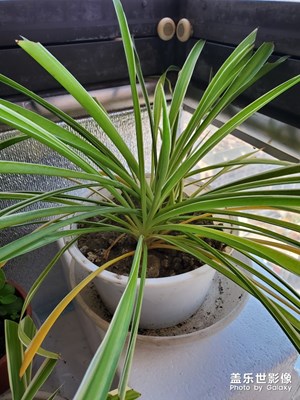 【新春】+這個春節(jié)有點不凡