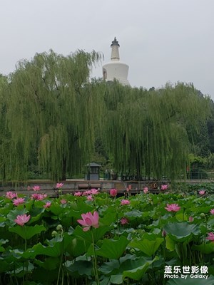 照相效果挺滿意的