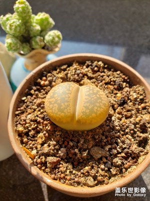 快春天里了。