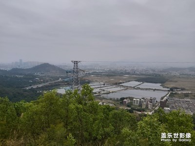 農(nóng)村家鄉(xiāng)