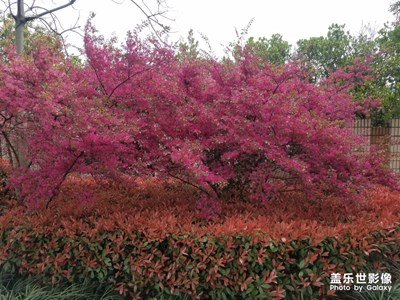 【身邊的景色】