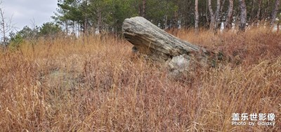 【身邊的景色】+窗外的風(fēng)景