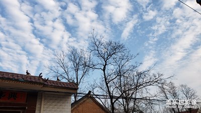 在家的第20天，瀕臨崩潰