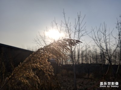 三星galaxy note 8隨手拍