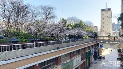 三星a90與火腿腸