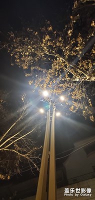 那個(gè)讓人難忘的年