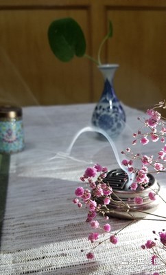 【身邊的景色】+煙火氣的生活